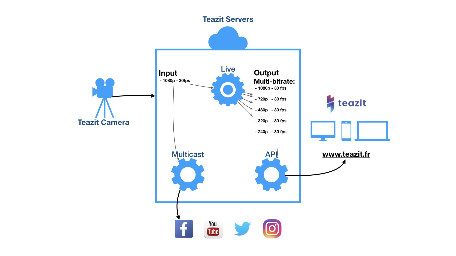teazit-live-schema